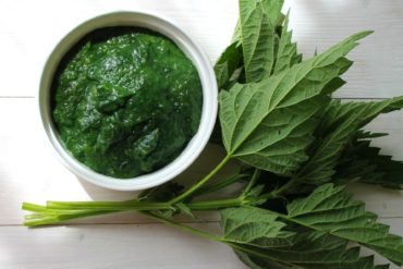 Recette, Astuces et secrets pour un pesto unique!