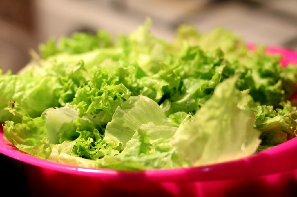 salade verte dans un pot en plastique rouge