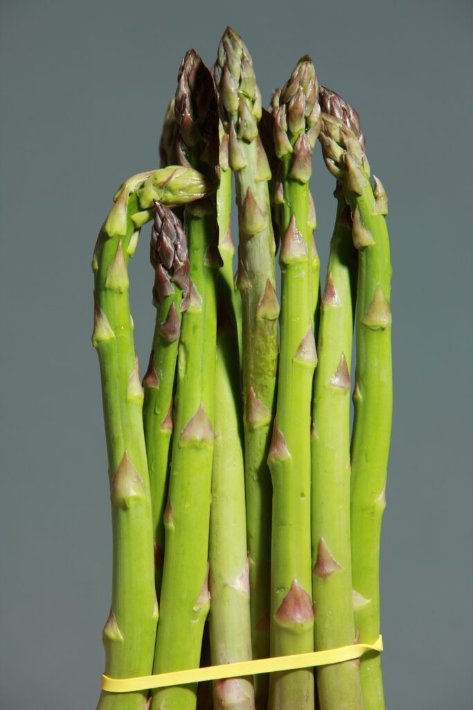 asperges, asparagus, plat, assiette, bol, bowl, green, asperge