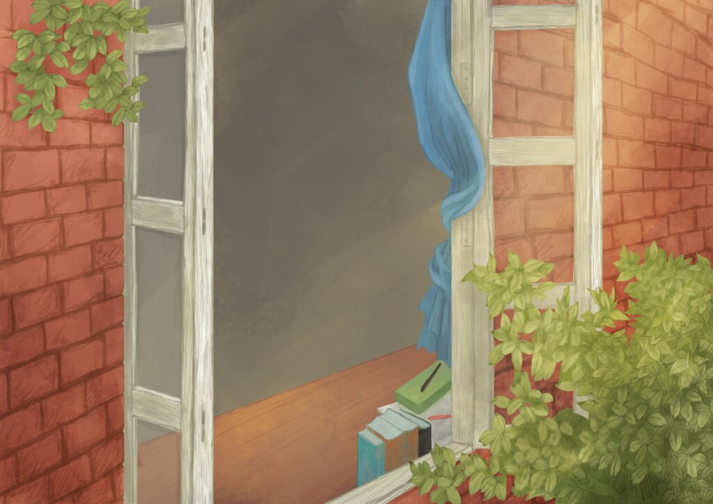 fenêtre, window, curtains, rideaux, plantes, plants,